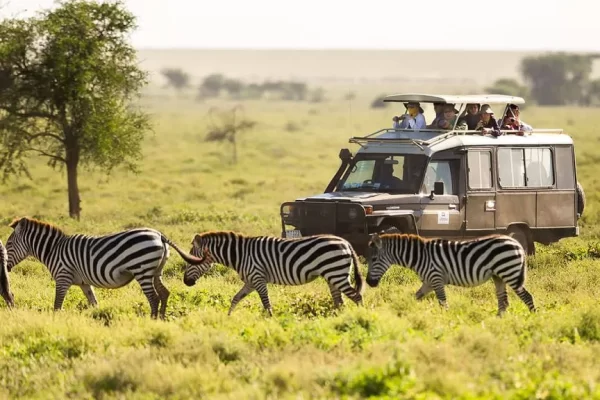 Uganda-Safari-Tours-1024x576.jpg